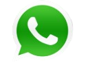 WhatsApp icon